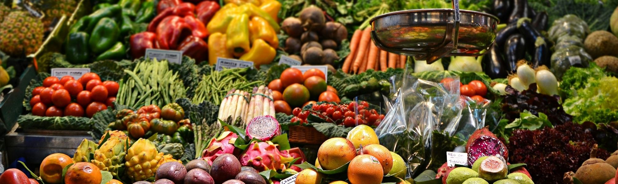 Mold Cleanse Food Guide