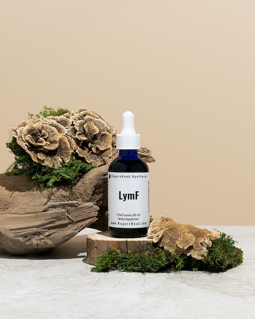 herbs to cleanse lymphatic system